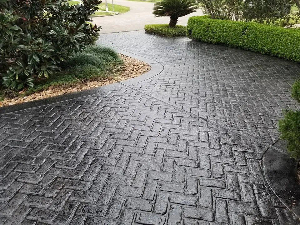 Onyx acid stained concrete driveway curving between hedges and a palm