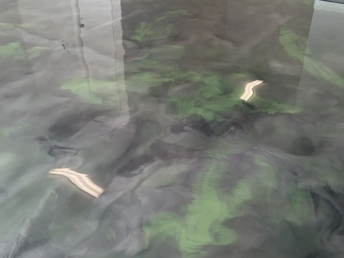 Green and charcoal metallic epoxy floor with a marble-like swirl